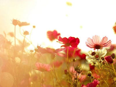Frases Inspiradoras - Belas Mensagens