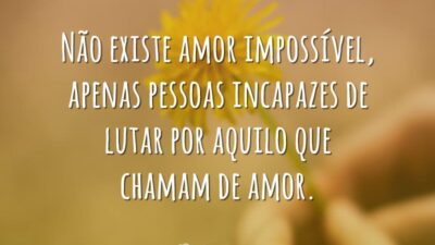 Não existe amor impossível, apenas pessoas incapazes de lutar por aquilo que&hellip;