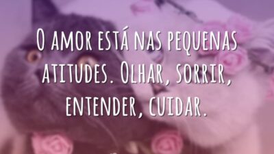 Nas pequenas atitudes