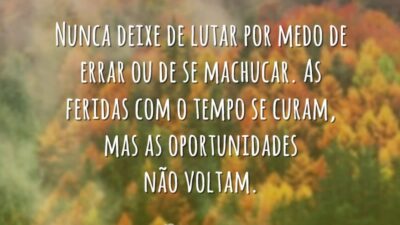 Nunca deixe de lutar por medo de errar ou de se machucar.&hellip;