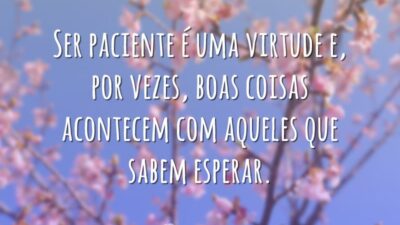Ser paciente é uma virtude e, por vezes, boas coisas acontecem com&hellip;