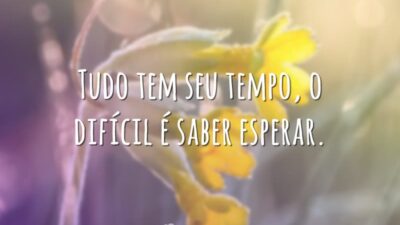 Tudo tem seu tempo, o difícil é saber esperar.