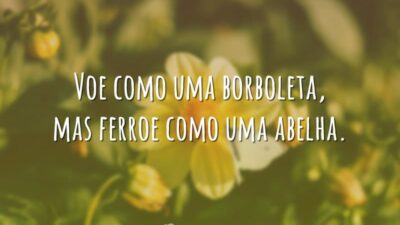 Voe como uma borboleta, mas ferroe como uma abelha.