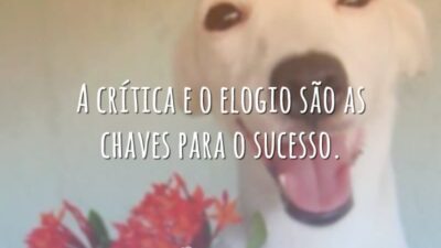 A crítica e o elogio são as chaves para o sucesso.