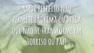 Amor perfeito não permite lágrima ou briga que não se transforme em&hellip;