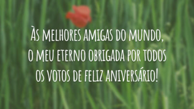 Às melhores amigas do mundo, o meu eterno obrigada por todos os&hellip;