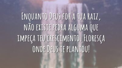 Floresça onde Deus te plantou