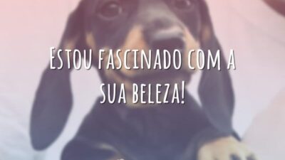 Estou fascinado com a sua beleza!