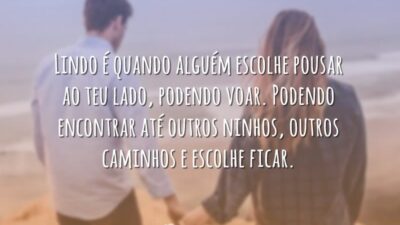 Lindo é quando alguém escolhe pousar ao teu lado, podendo voar. Podendo&hellip;
