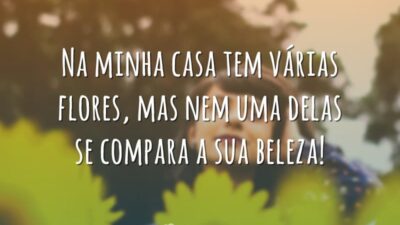 Na minha casa tem várias flores, mas nem uma delas se compara&hellip;