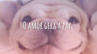 O amor gera a paz.