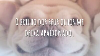 O brilho dos seus olhos me deixa apaixonado.