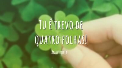 Trevo de quatro folhas