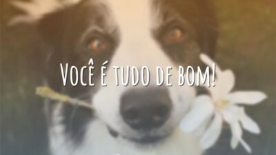Você é tudo de bom!