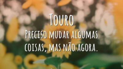 Touro Preciso mudar algumas coisas, mas não agora.
