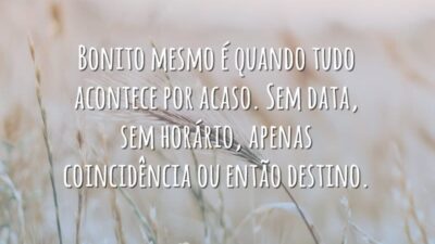 Bonito mesmo é quando tudo acontece por acaso