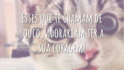 Esses que te chamam de louco