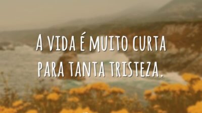 A vida é muito curta