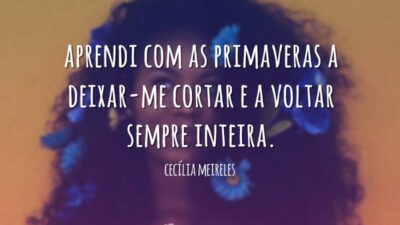 Aprendi com as primaveras