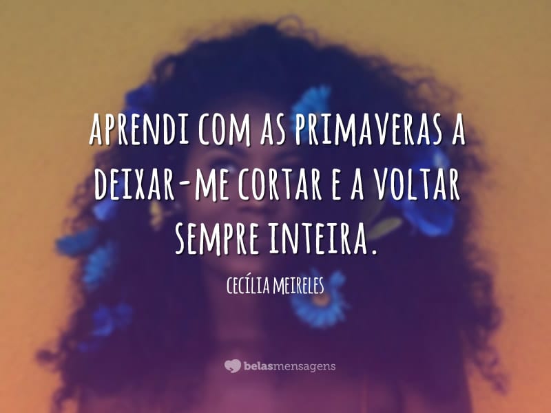 Frases de Cecília Meireles - Belas Mensagens