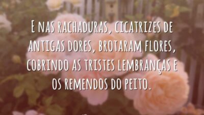 Brotaram flores