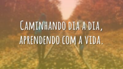 Caminhando dia a dia, aprendendo com a vida.