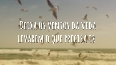 Deixa os ventos da vida levarem o que precisa ir.
