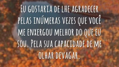 Gostaria de lhe agradecer