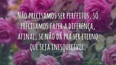 Não precisamos ser perfeitos