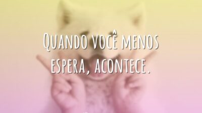 Acontece no acaso