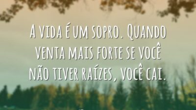 Se você não tiver raízes