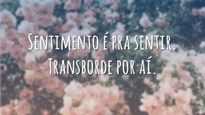 Transborde por aí