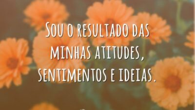 Sou o resultado das minhas atitudes, sentimentos e ideias.