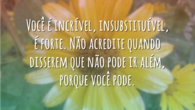 Você é incrível