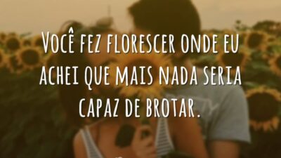 Você fez florescer
