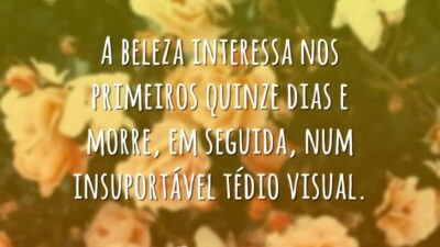 A beleza interessa nos primeiros quinze dias e morre, em seguida, num&hellip;