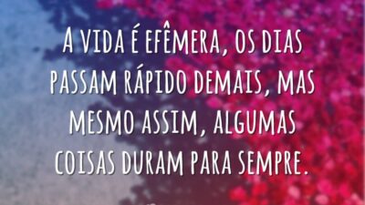 A vida é efêmera, os dias passam rápido demais, mas mesmo assim,&hellip;