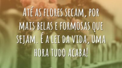 Até as flores secam, por mais belas e formosas que sejam. É&hellip;