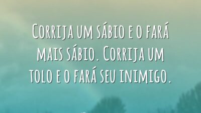 Corrija um sábio e o fará mais sábio. Corrija um tolo e&hellip;