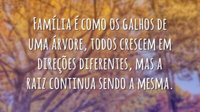Família é como árvore
