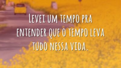 Levei um tempo