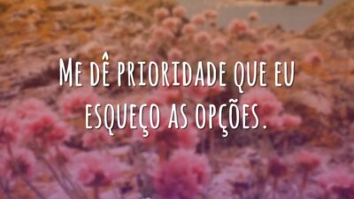 Me dê prioridade que eu esqueço as opções.