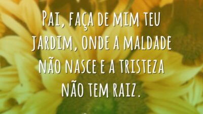 Onde tristeza não tem raiz