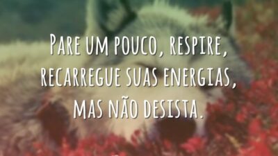 Pare um pouco, respire, recarregue suas energias, mas não desista.
