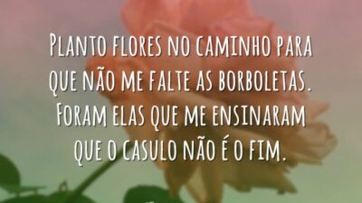Planto flores no caminho