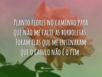 Planto flores no caminho