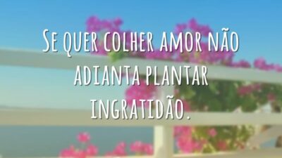 Se quer colher amor não adianta plantar ingratidão.