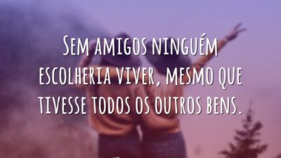 Sem amigos ninguém escolheria viver, mesmo que tivesse todos os outros bens.