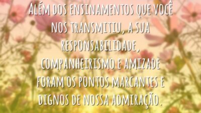 Além dos ensinamentos