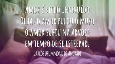 Amor é bicho instruído